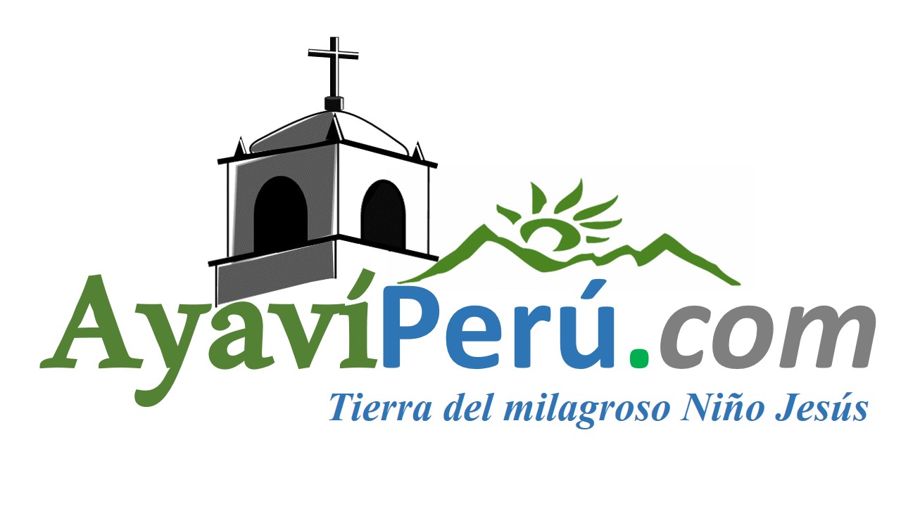 logo ayaviperu.com