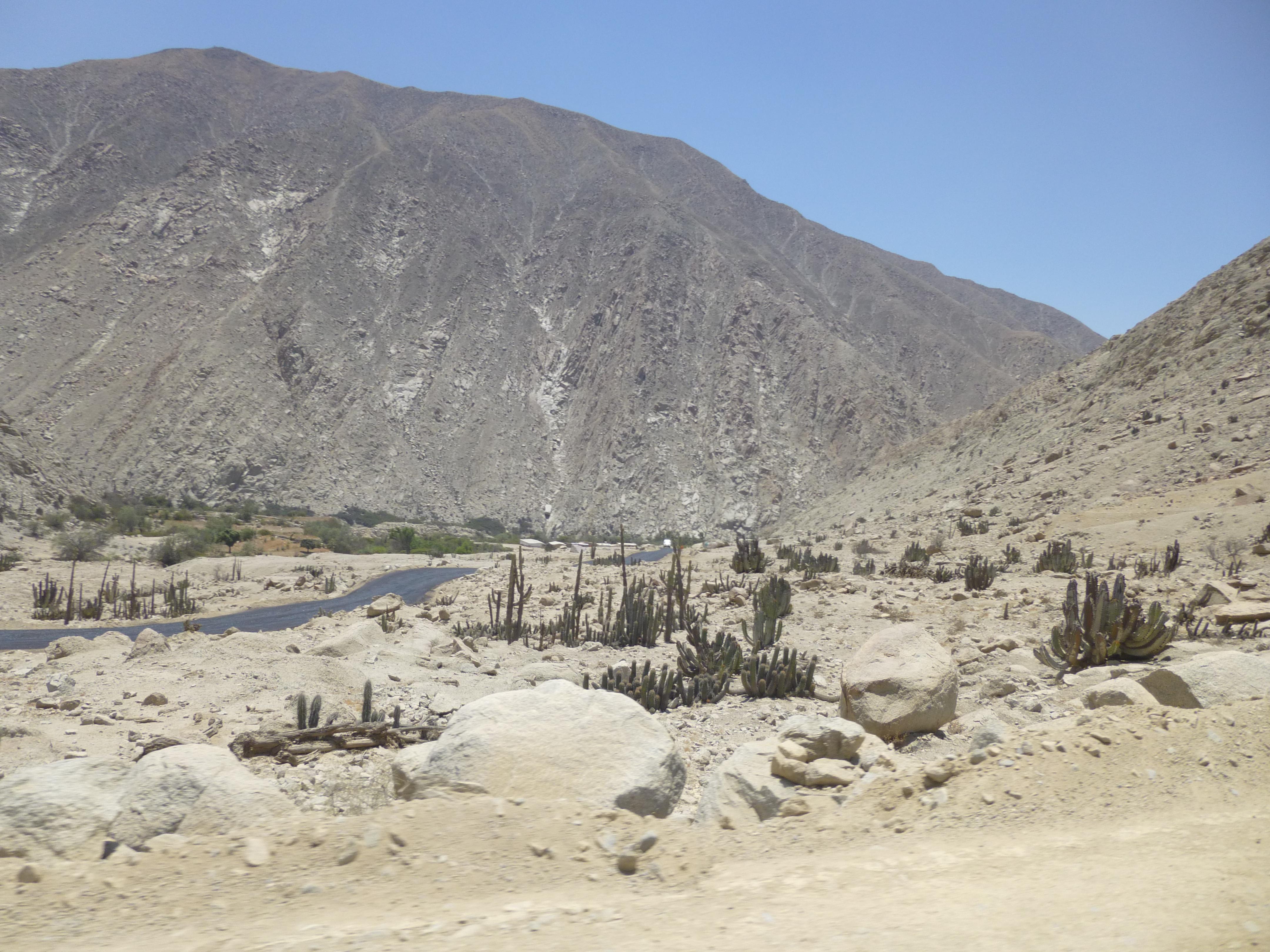 asfaltado de carretera