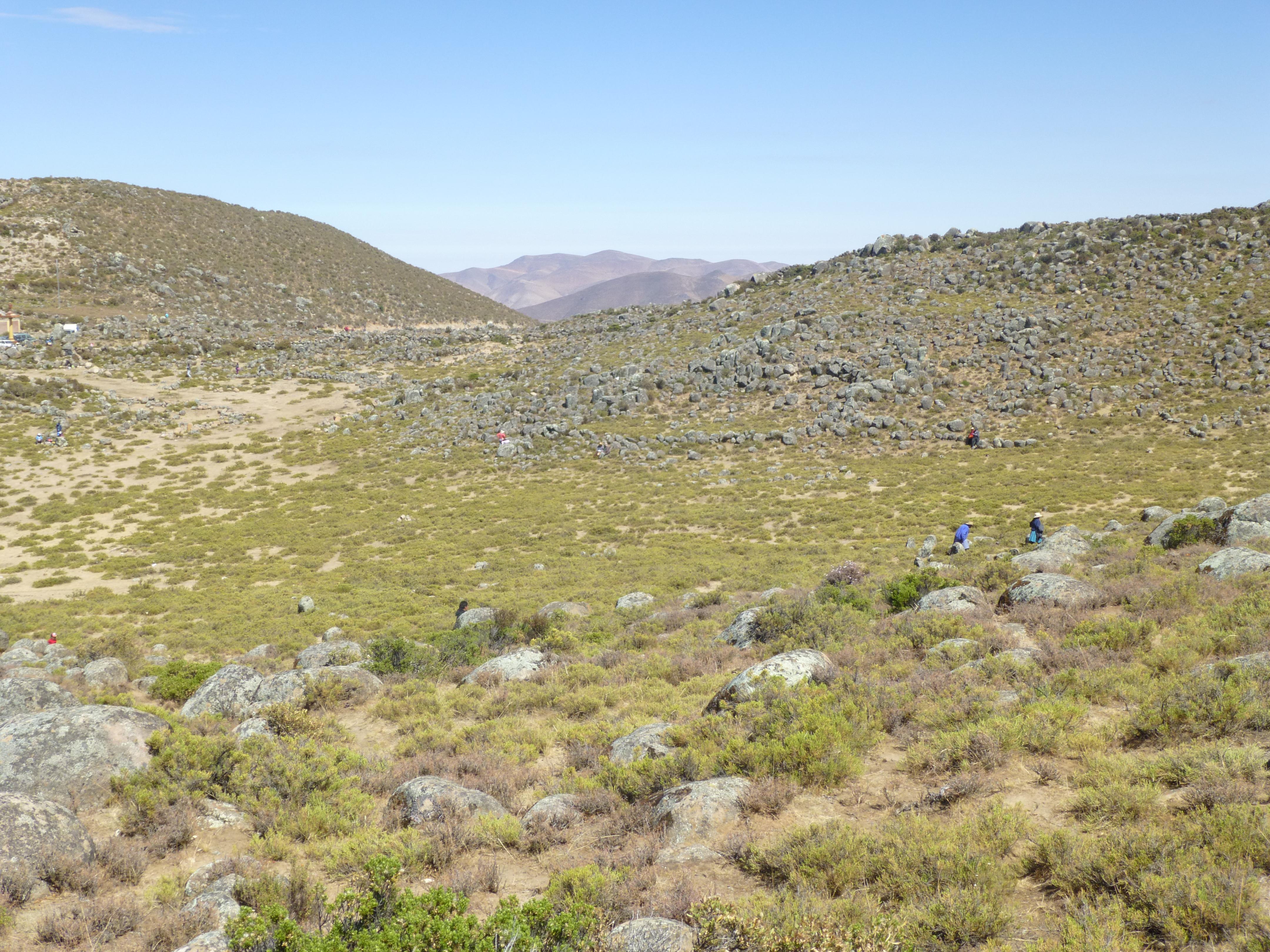 Panorama de Ayav&iacute;