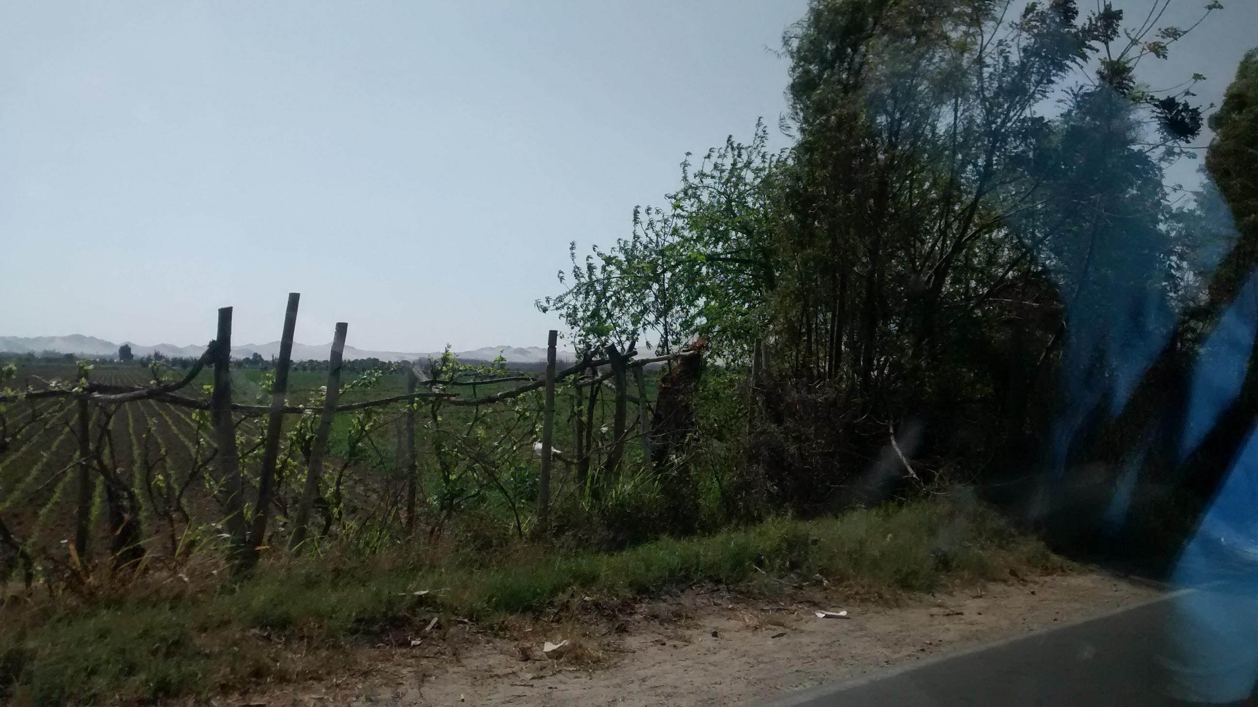 Rumbo a Ayav&iacute;