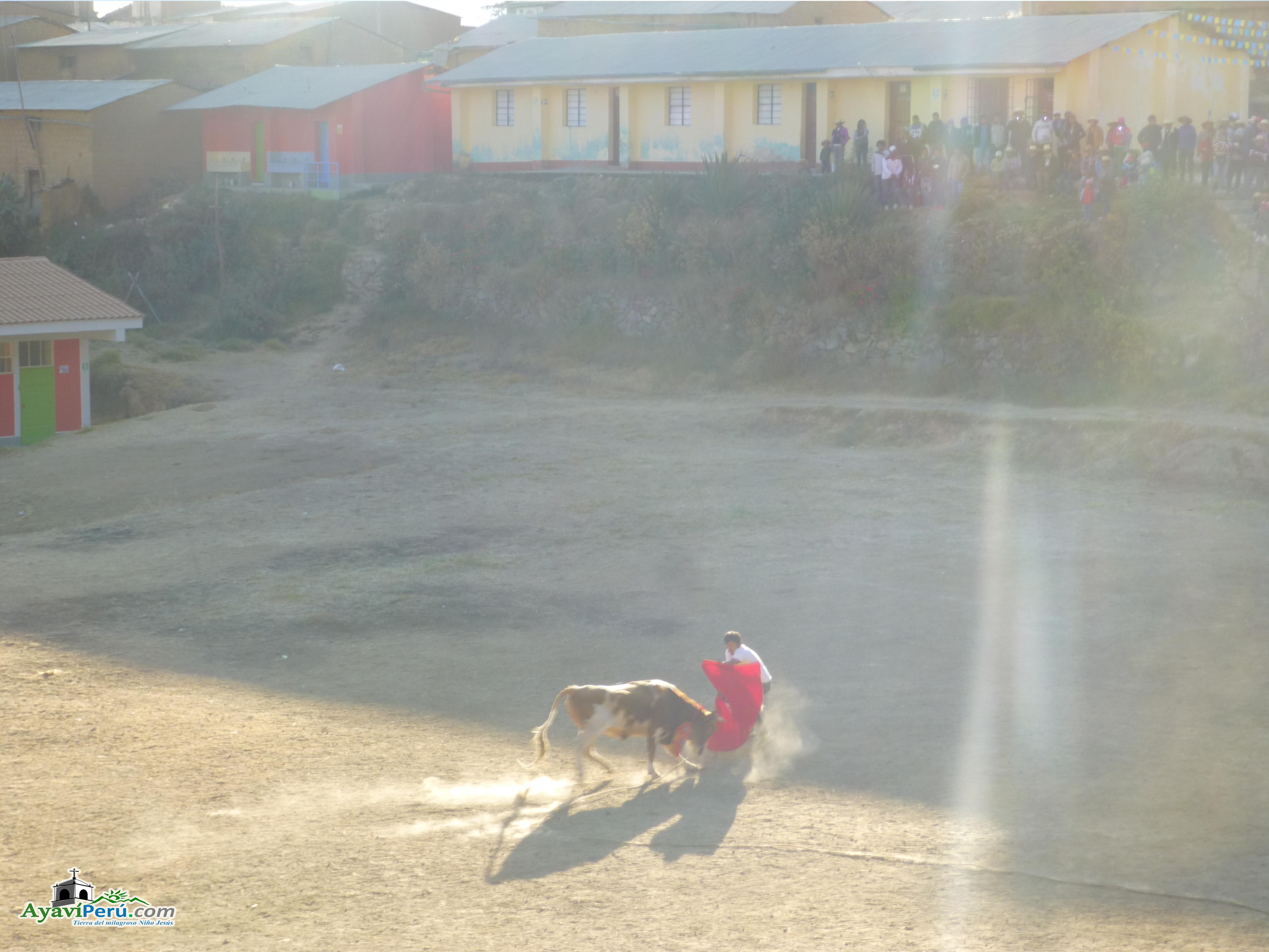 Fiesta Patronal Virgen del Carmen