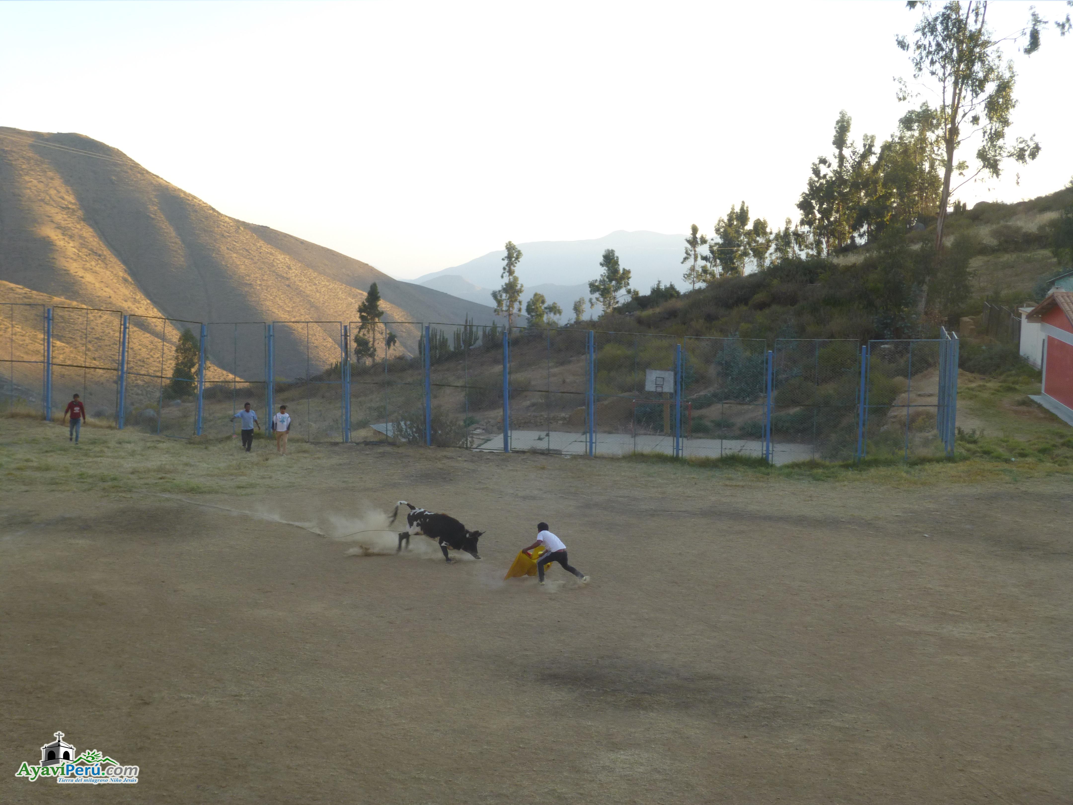 Fiesta Patronal Virgen del Carmen