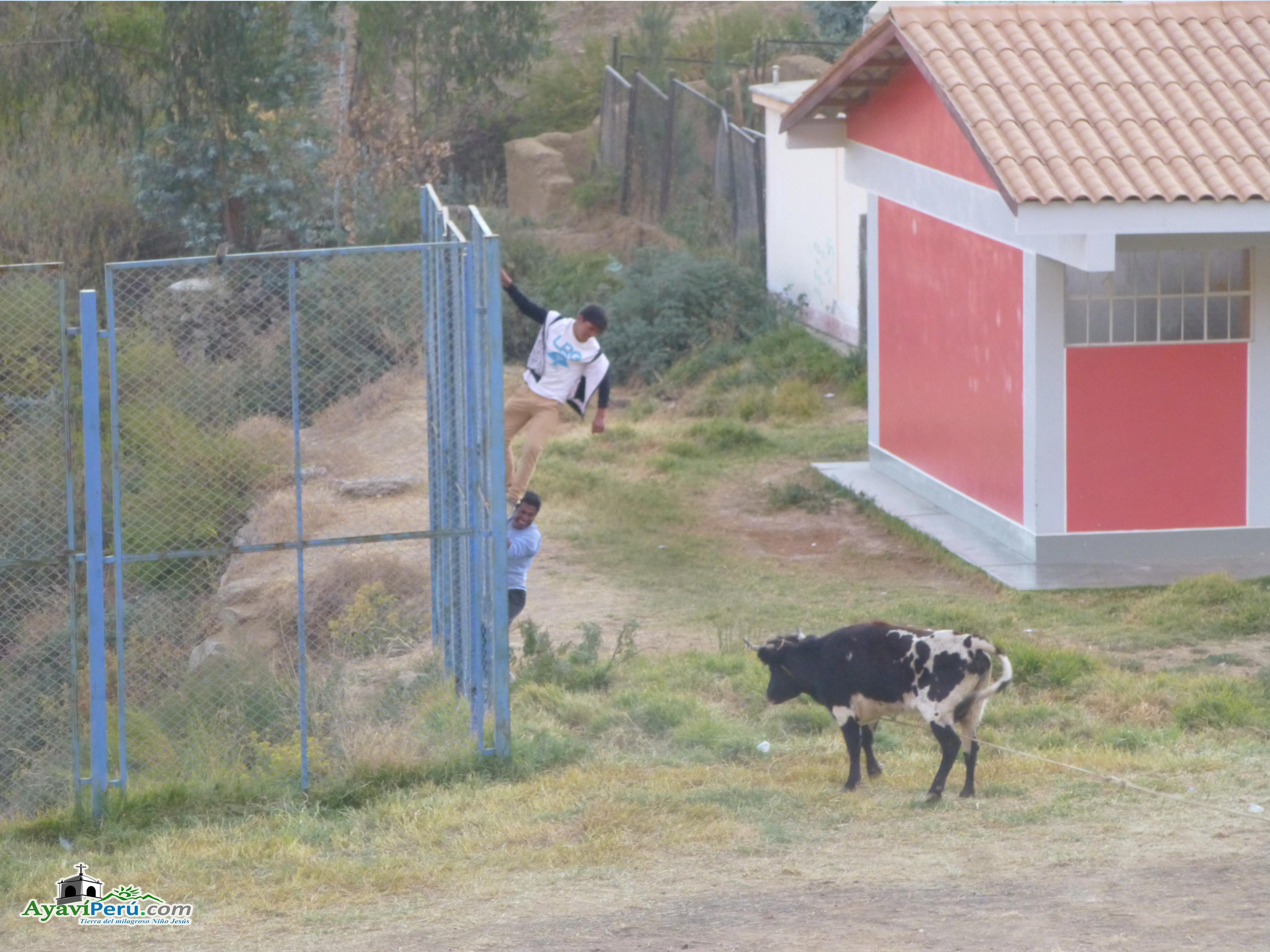 Fiesta Patronal Virgen del Carmen