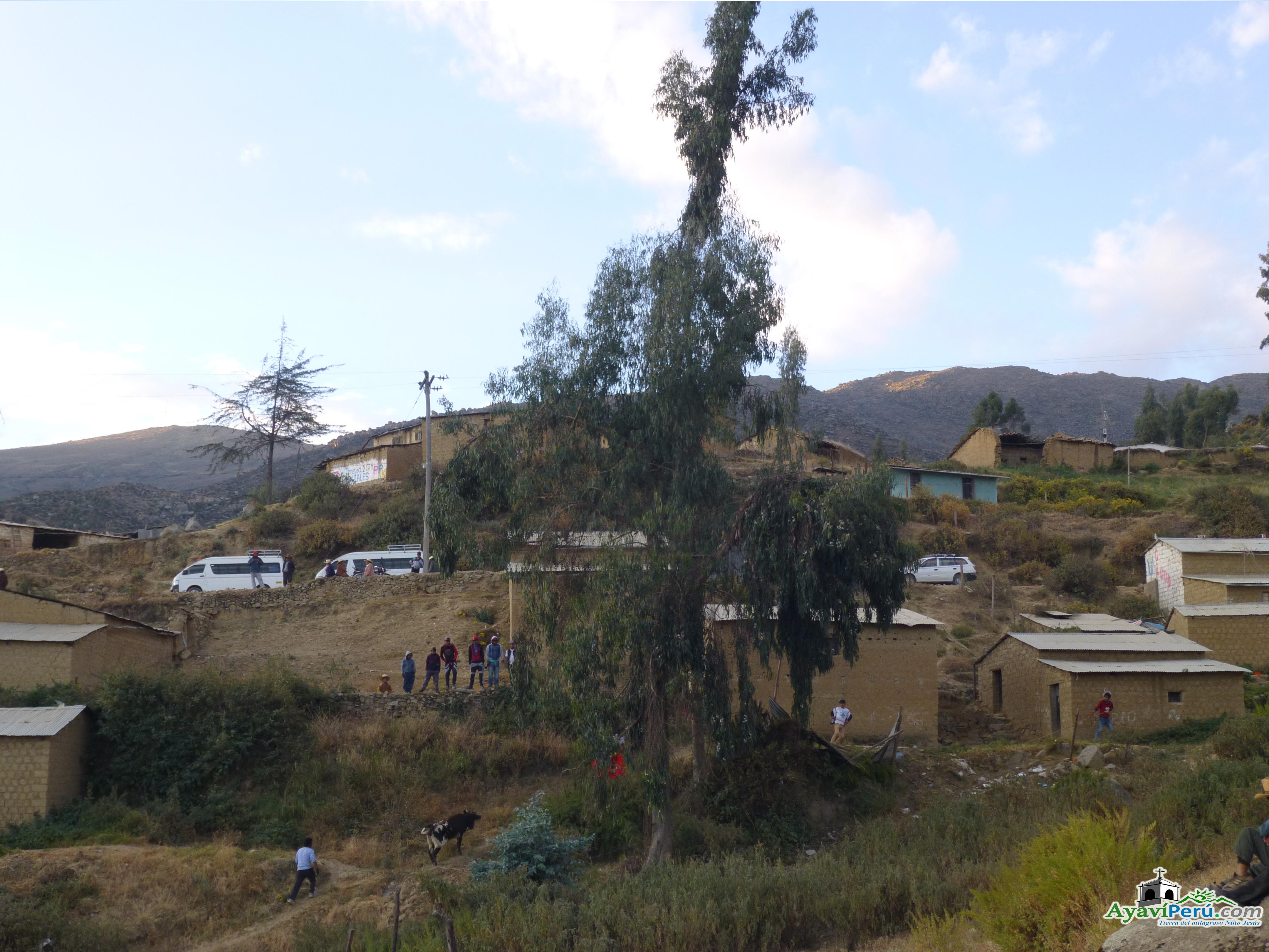 Fiesta Patronal Virgen del Carmen