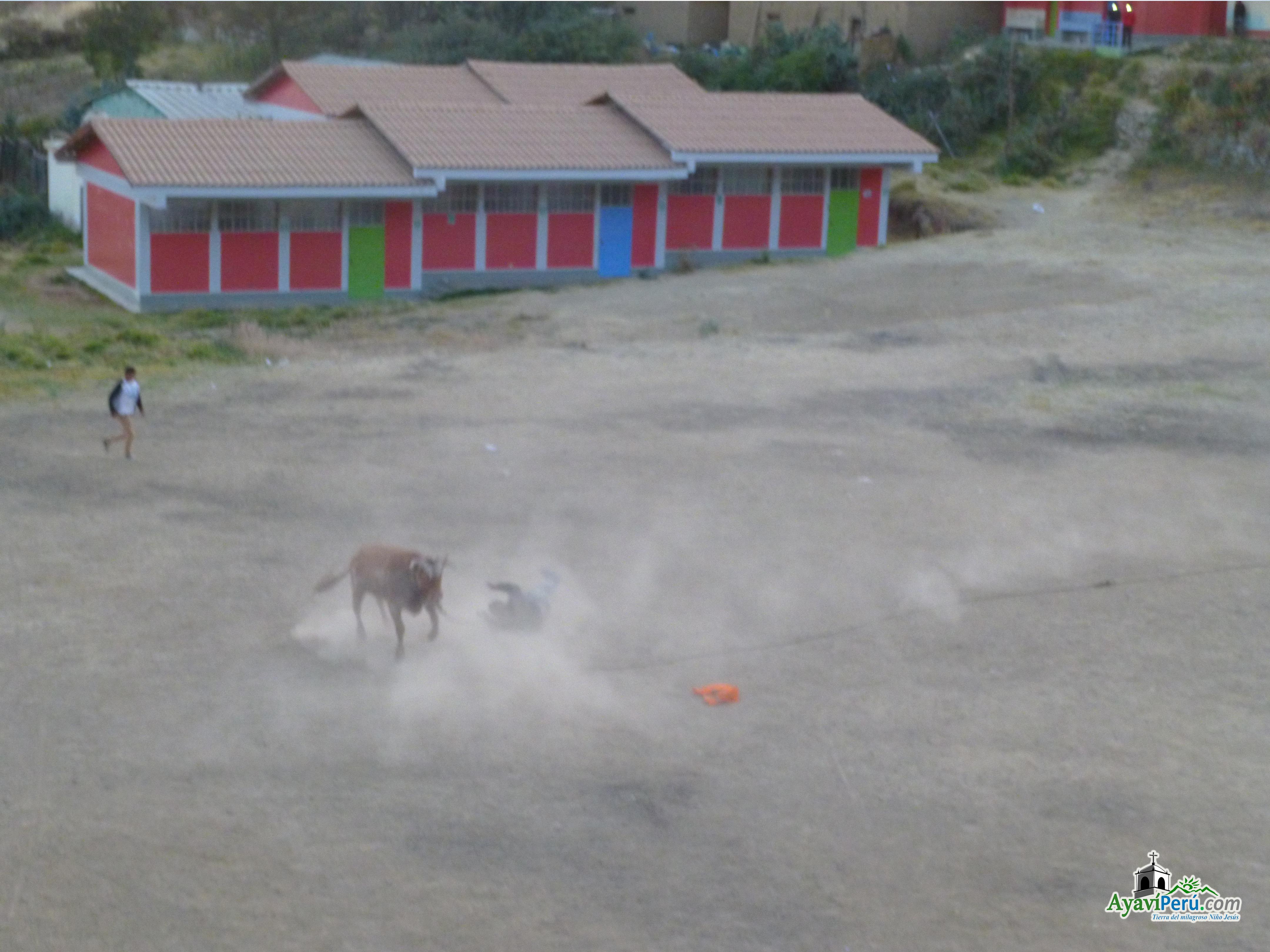 Fiesta Patronal Virgen del Carmen