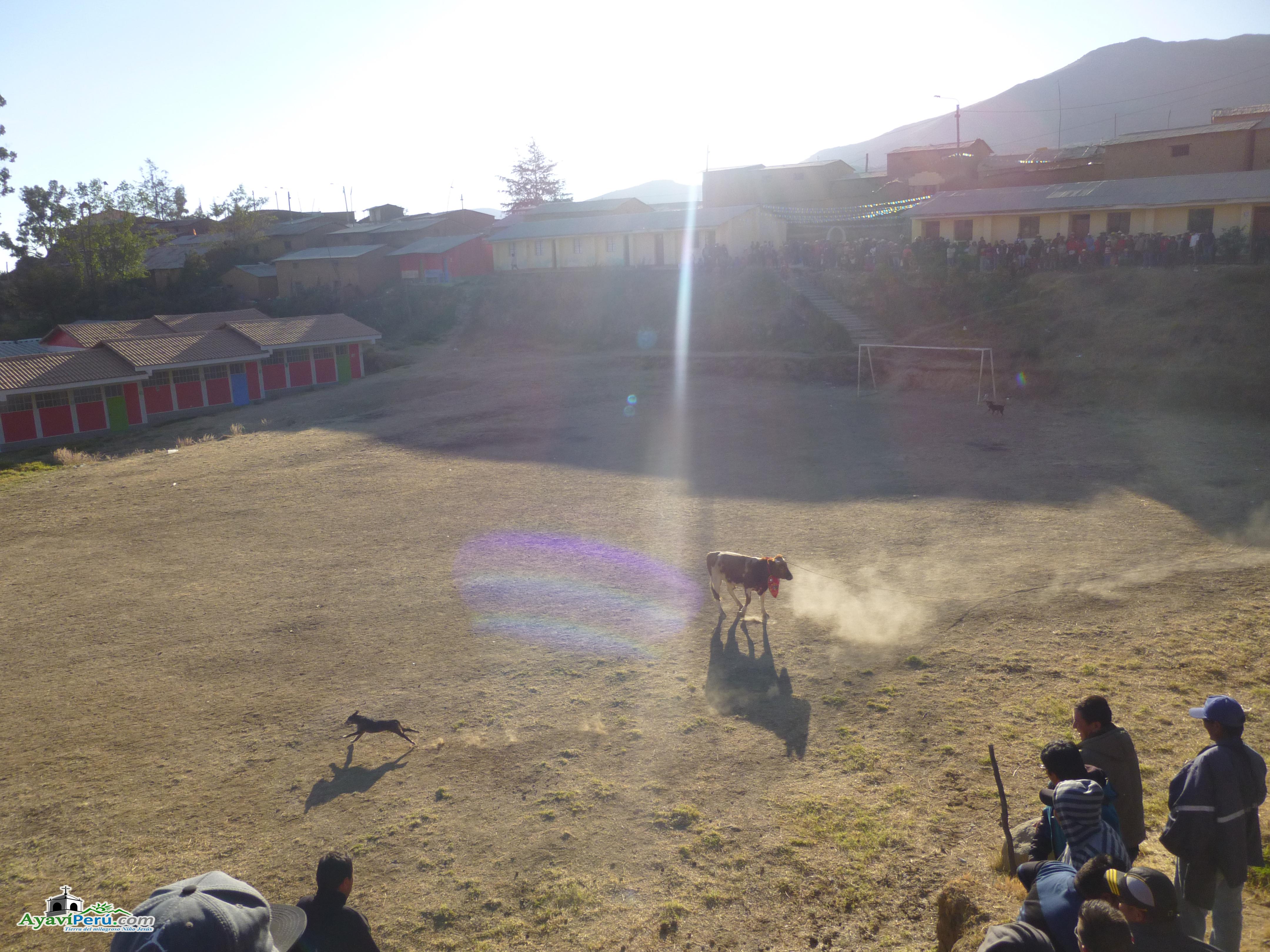 Fiesta Patronal Virgen del Carmen