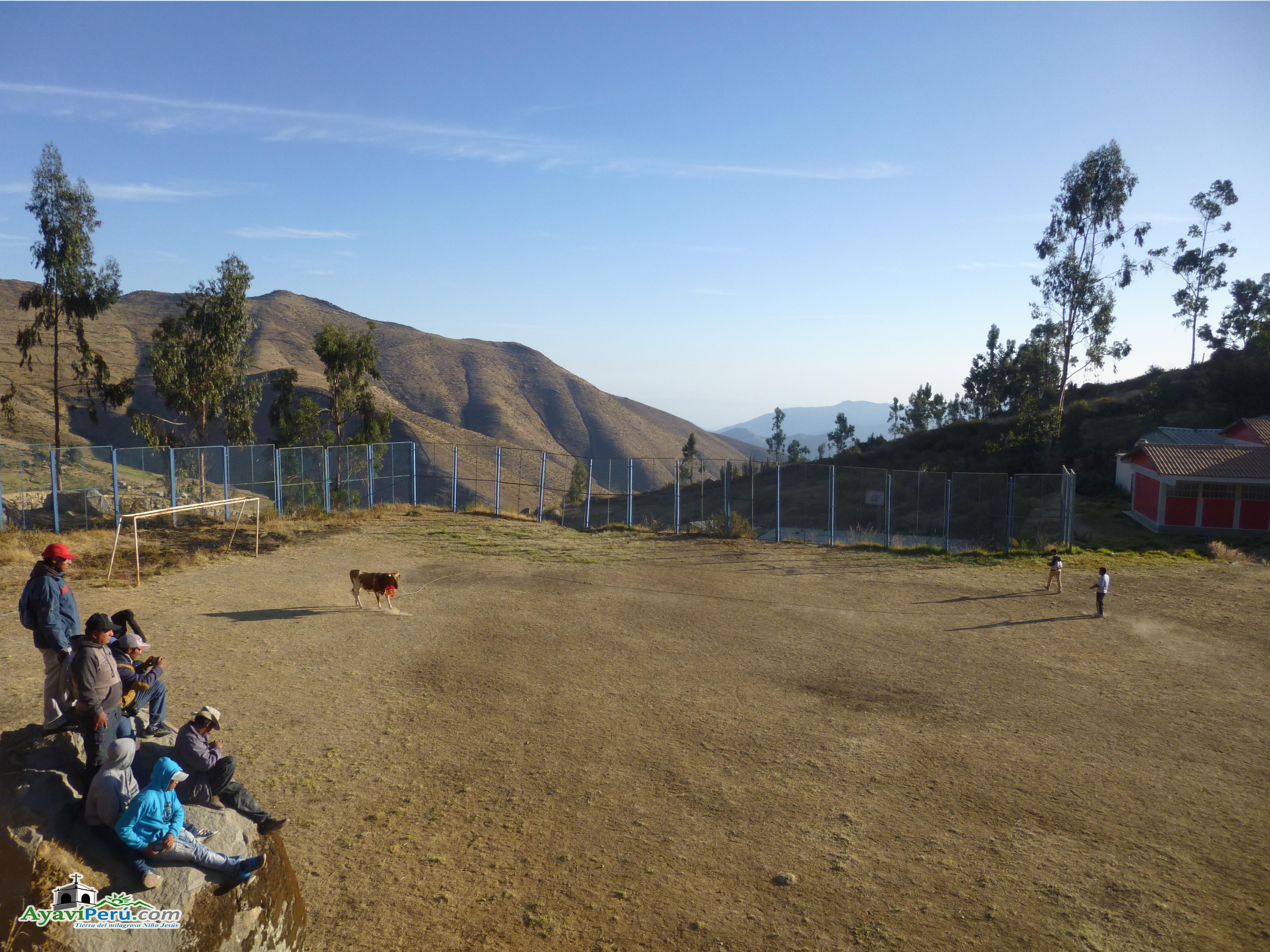 Fiesta Patronal Virgen del Carmen