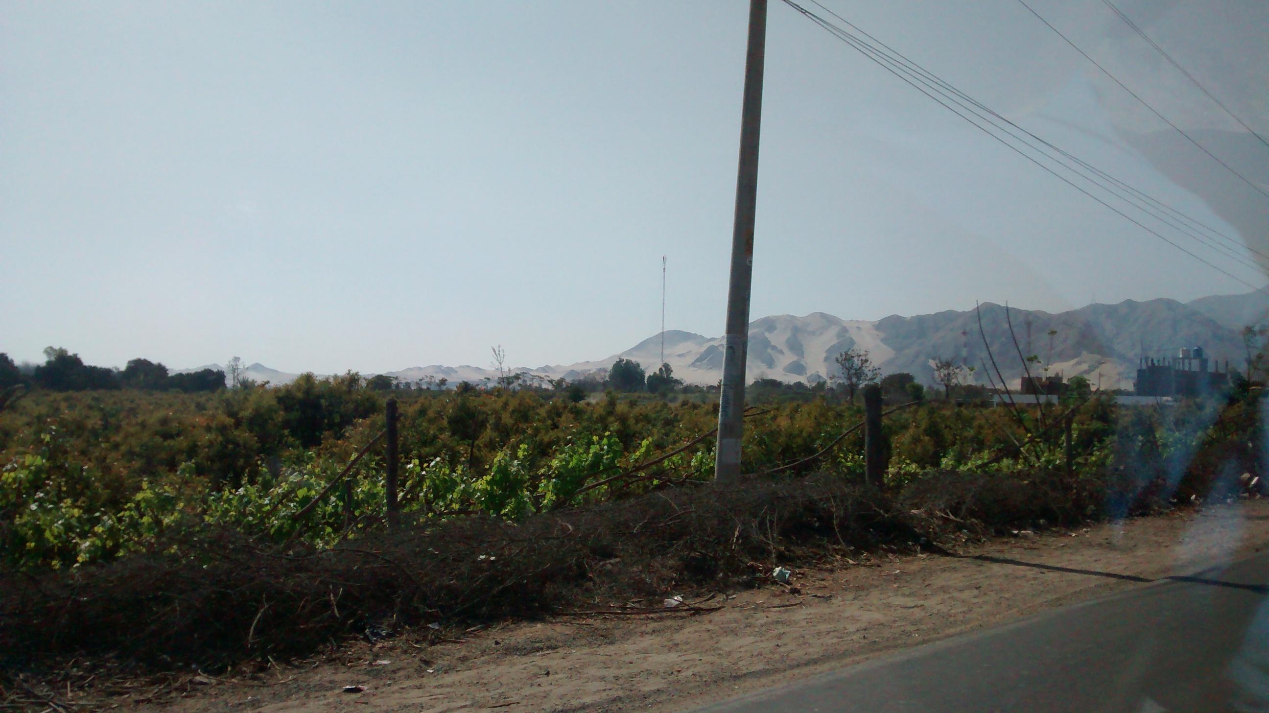 Rumbo a Ayav&iacute;