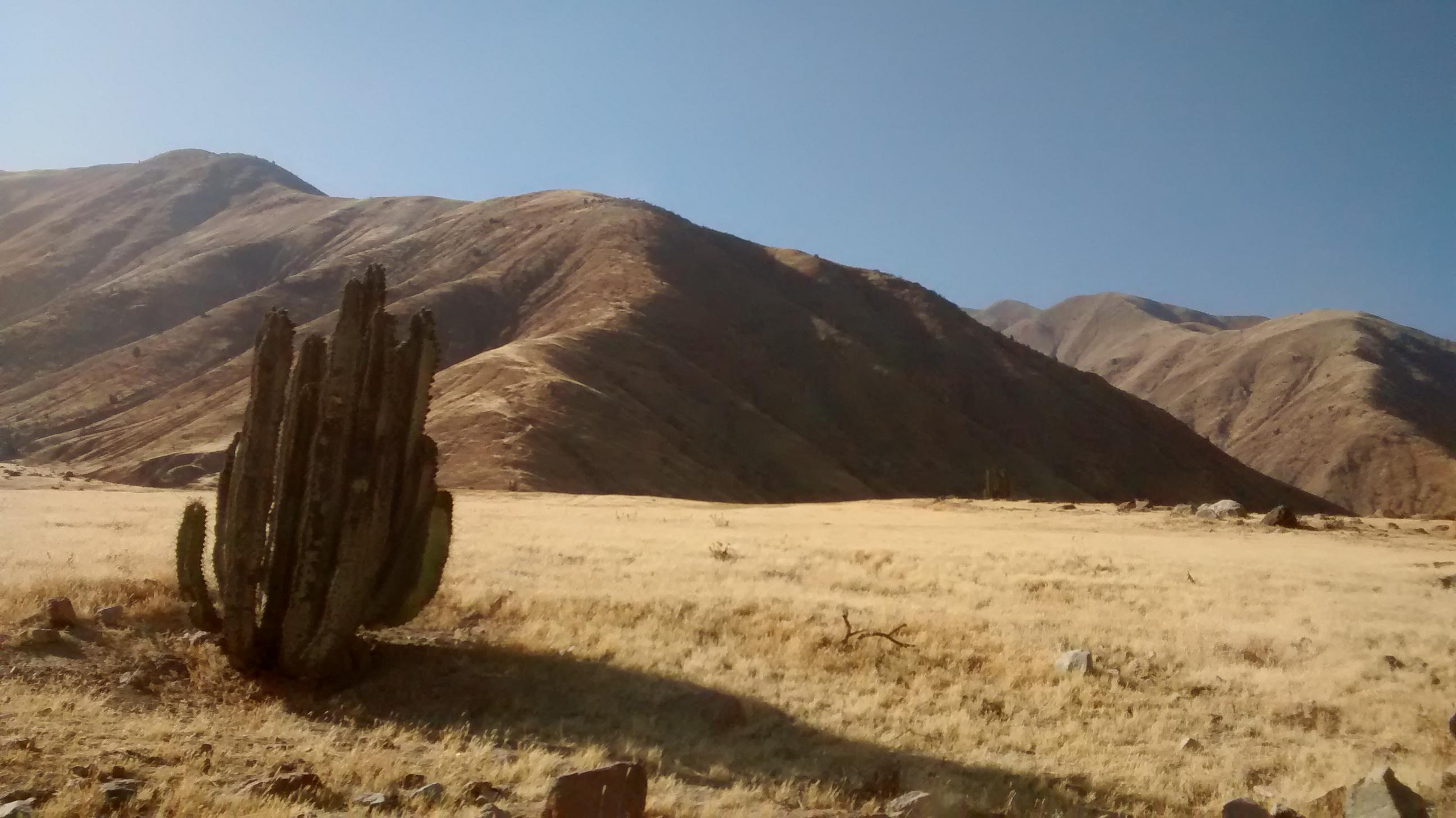 Rumbo a Ayav&iacute;